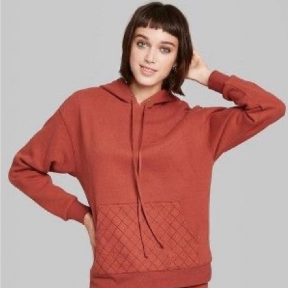 Rust colored Wild Fable medium hoodie
